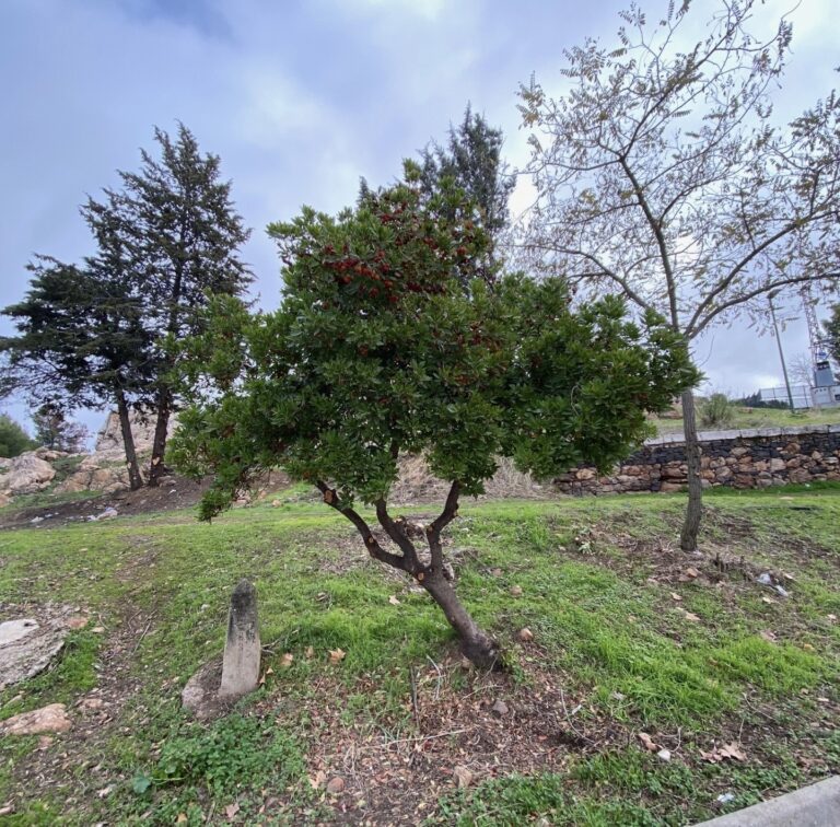 Puertollano: Luces de navidad para que nadie mire la oscuridad