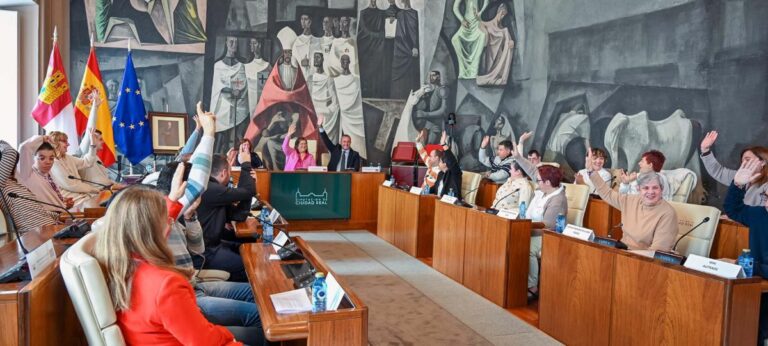 La Diputación de Ciudad Real reafirma su compromiso con la inclusión dando voz a las personas con discapacidad en el salón de plenos