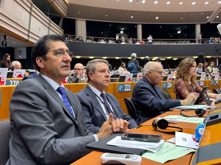 Castilla-La Mancha pide en Europa que se garantice a las regiones productoras de energía limpia desarrollo económico, suministro estable y un precio asequible para la ciudadanía