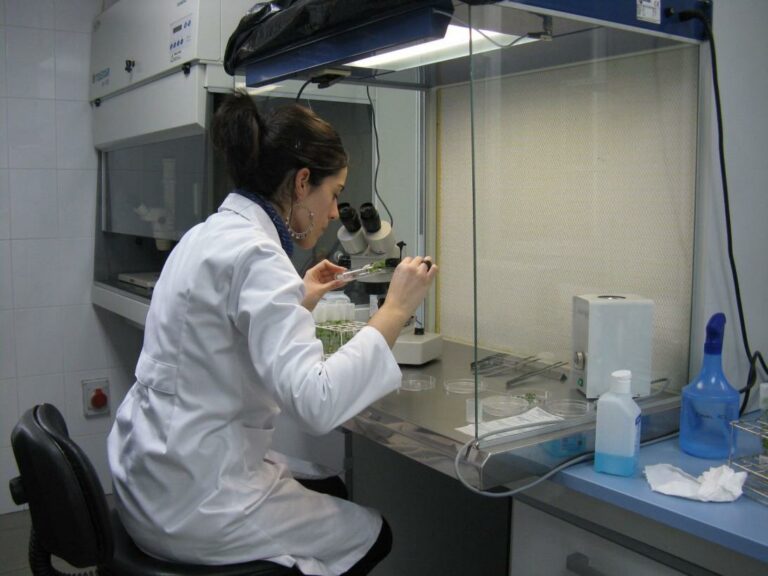 El IRIAF refuerza su tarea investigadora con la convocatoria de nuevas plazas en el marco de proyectos específicos de I+D