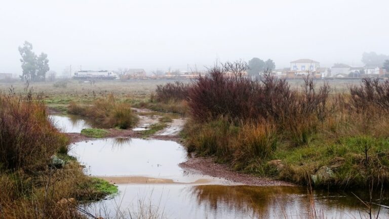 El Ojailén, nuestro valle