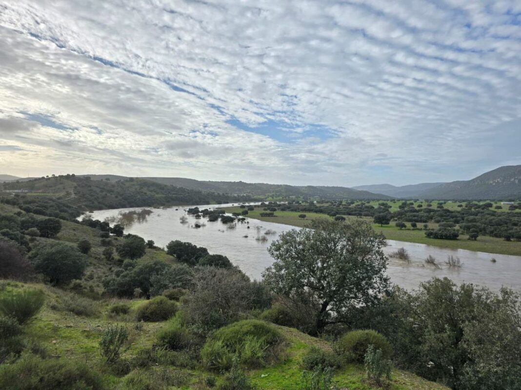 26.02.12 Guadiana en Puebla de Don Rodrigo