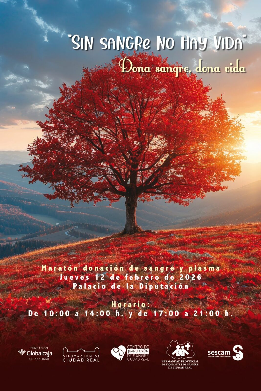 Cartel 900x600 maraton feb 2026 (1)