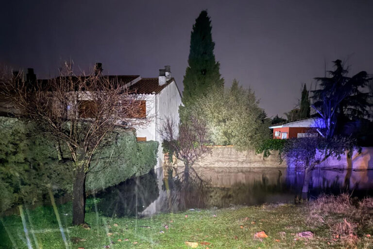 Leonardo motivó una intervención de emergencia la pasada madrugada por lluvias y el viento ha derribado varios árboles en Almodóvar del Campo