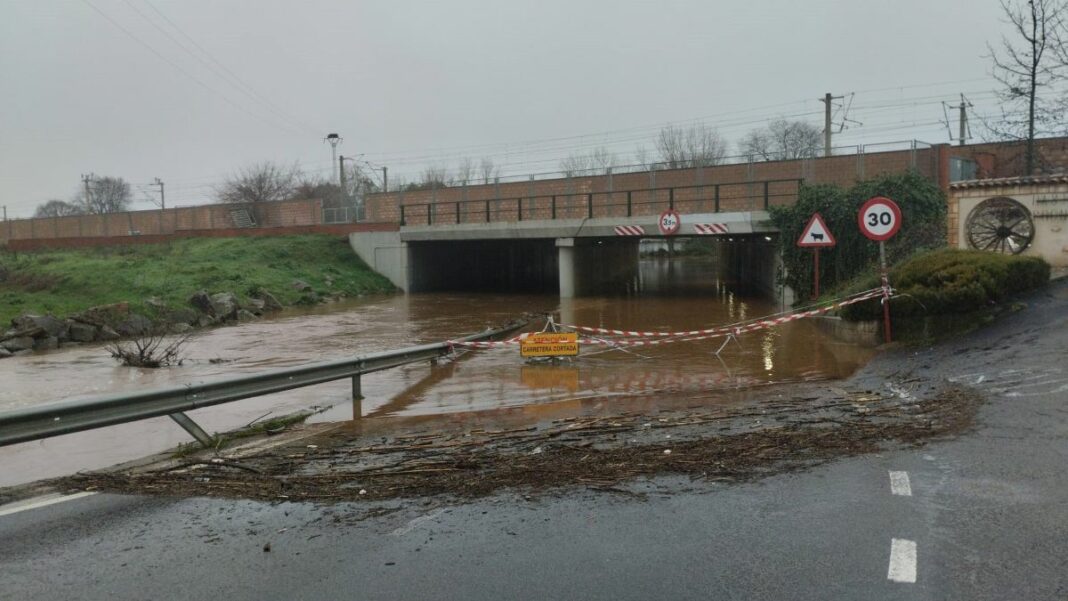 fotonoticia_20260211091559_1920