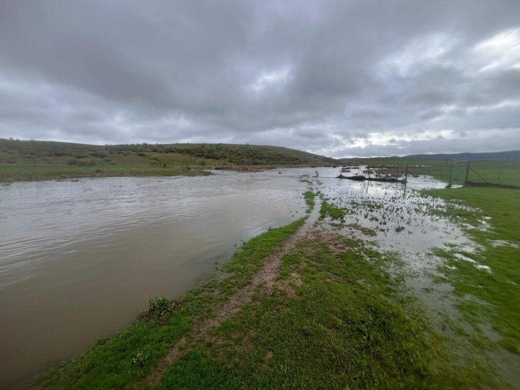 fotonoticia_20260211102250_1920