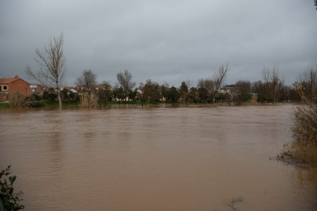 fotonoticia_20260216125706_1920