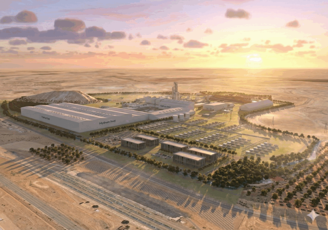 planta hydnum atardecer