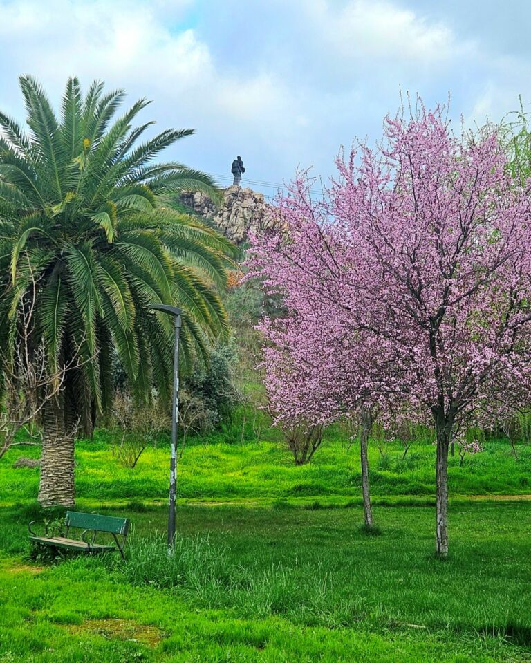 «Menos químicos y más salud»: El PSOE de Puertollano presenta alternativas para cuidar parques y jardines