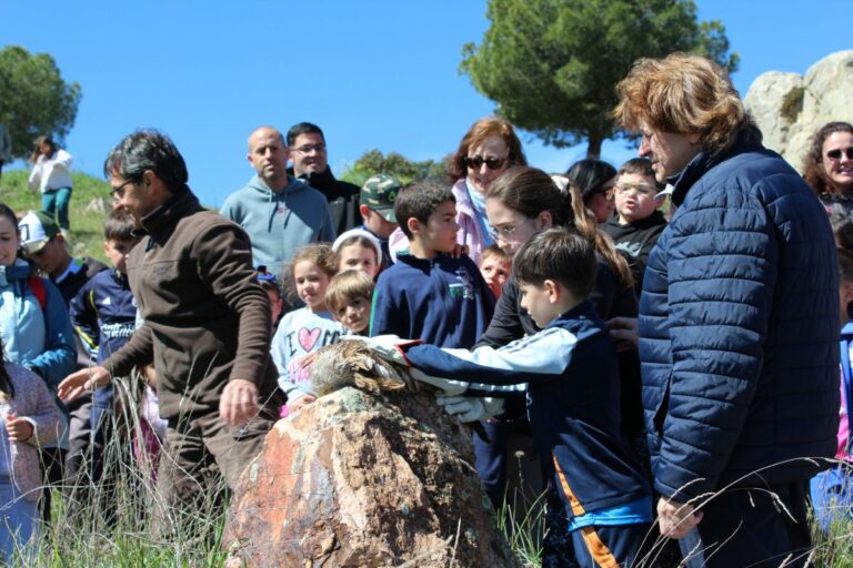 El Gobierno de Castilla-La Mancha combina educación ambiental y conservación en la suelta de tres aves recuperadas en un centro que atendió casi 1.300 casos en 2025