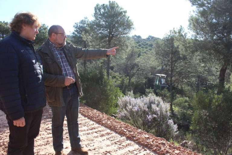 El Gobierno regional destaca la importancia del aprovechamiento forestal tanto en la regeneración del monte público y el relanzamiento de las económicas locales