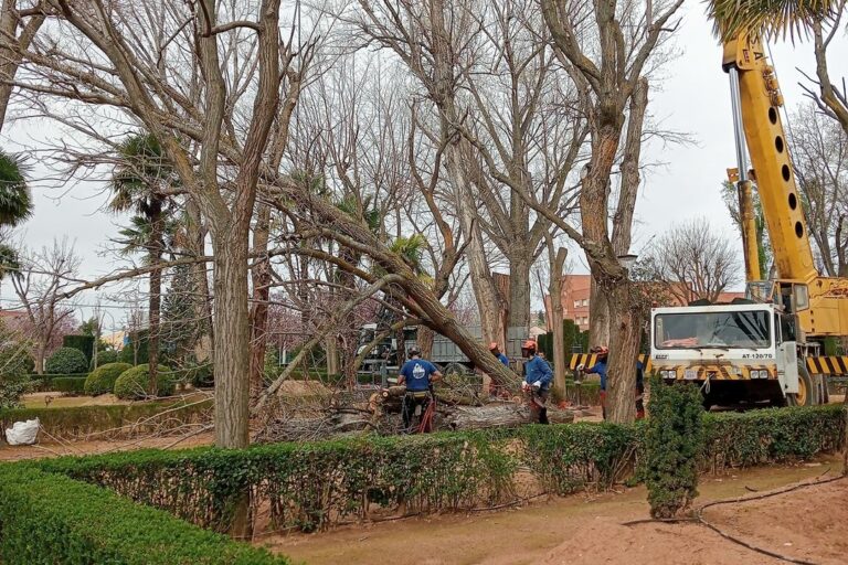Continúan los trabajos de mantenimiento en el parque de la Constitución