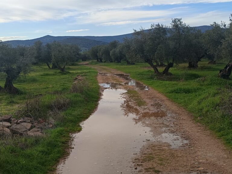 El Ayuntamiento de Fuente el Fresno lamenta la «falta de ayuda» de la Diputación para arreglar sus caminos, gravemente afectados por las borrascas