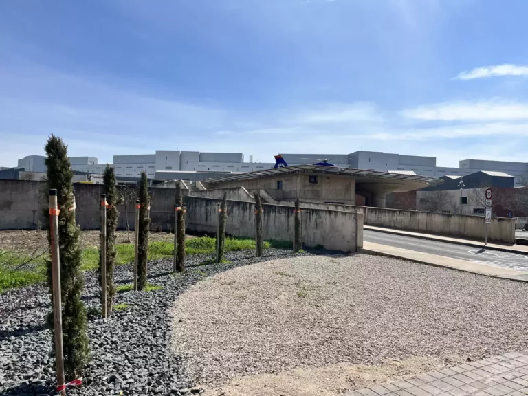 El Colegio de Médicos de Ciudad Real celebra el 28 de marzo dos actos institucionales de reconocimiento a la profesión médica