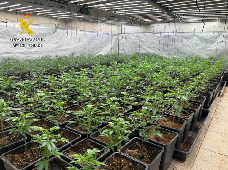Desmantelada una plantación indoor de marihuana de alto rendimiento en Almodóvar del Campo