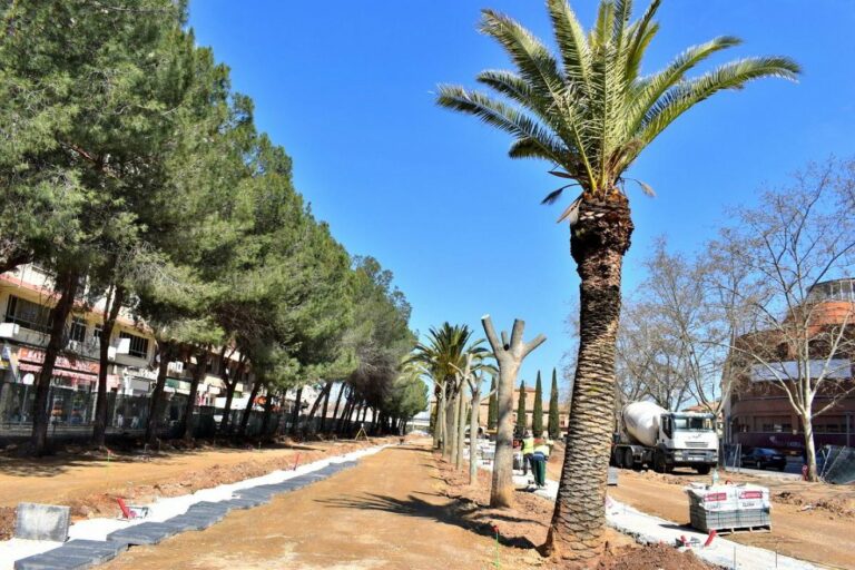 Puertollano: Comienza la plantación de los nuevos 410 árboles del Paseo del Bosque