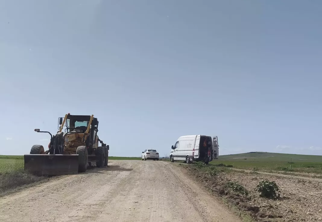 arreglo camino de Ciruela