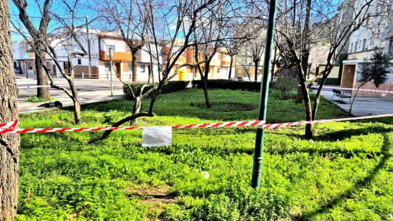 IU rechaza el uso de herbicidas en Puertollano y advierte de que no siempre se han seguido las normas de seguridad