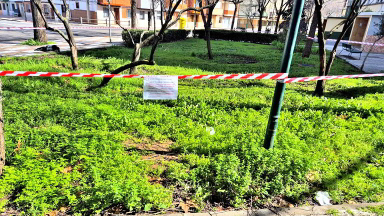 El Ayuntamiento de Puertollano refuerza el desbroce con fitosanitarios homologados