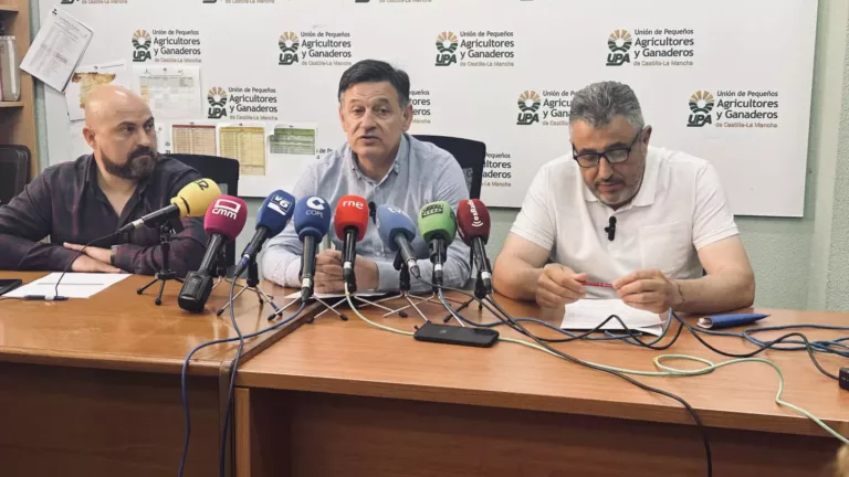 Ayudas directas a apicultores y una nueva marca de calidad en la región, propuestas de UPA