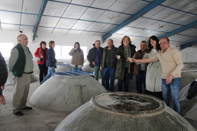 Blanca Fernández destaca el “gran dinamismo” del sector vitivinícola con un nuevo récord de exportaciones impulsado por las ayudas VINATI