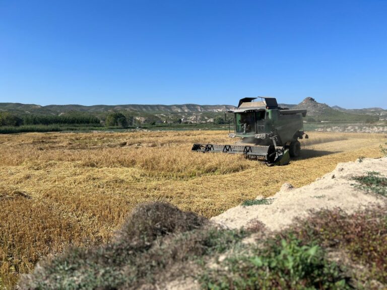 El Gobierno de García-Page impulsa una nueva ayuda para asegurar el futuro del arroz, un cultivo único en Castilla-La Mancha 