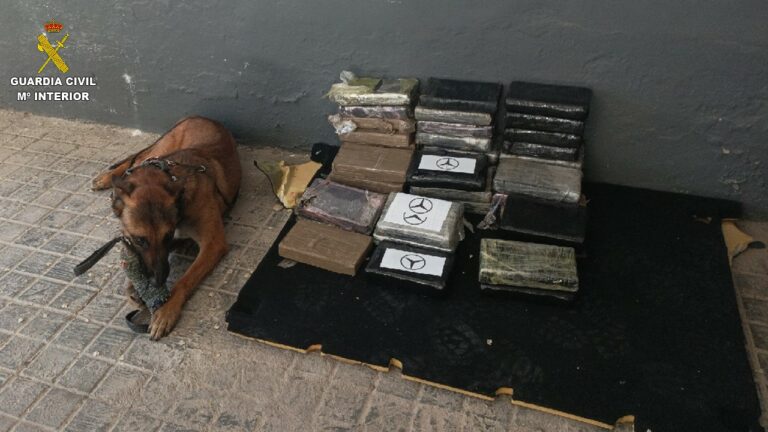 Detenido en la A-4 en Manzanares tras ser sorprendido con casi 46 kilos de cocaína en una furgoneta