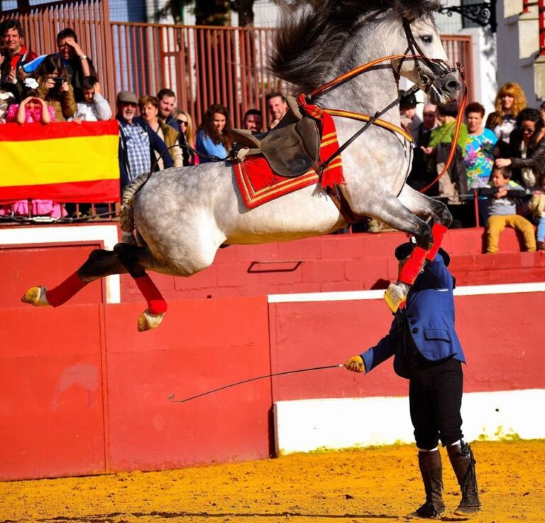 Puertollano acogerá el 1 de mayo el espectáculo ecuestre flamenco gratuito “El arte de Andalucía a caballo”
