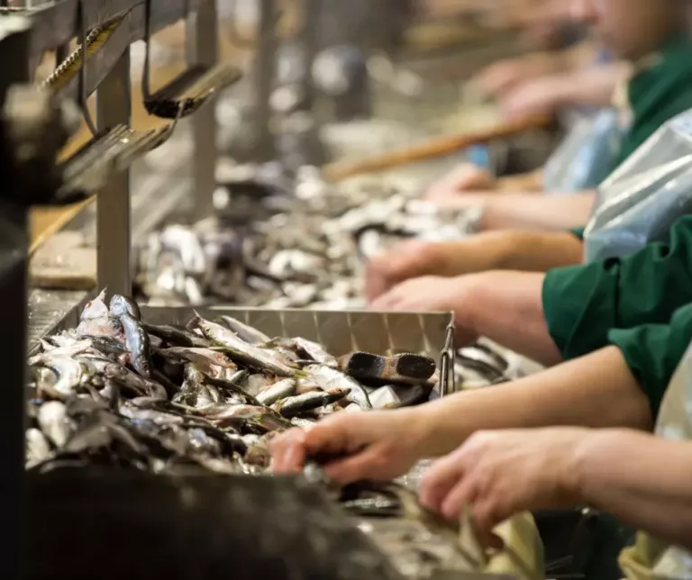 El Gobierno regional apoya con un millón de euros a las empresas de transformación y comercialización de productos de pesca y acuicultura
