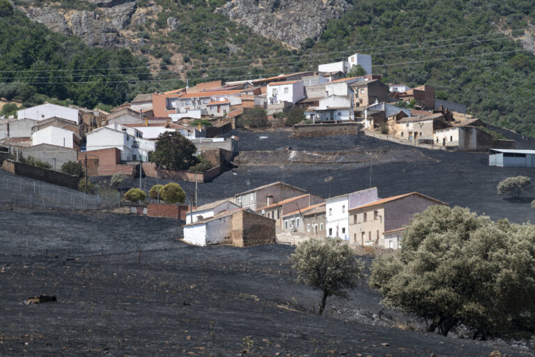 Incendios: sabemos qué no hicisteis el último verano