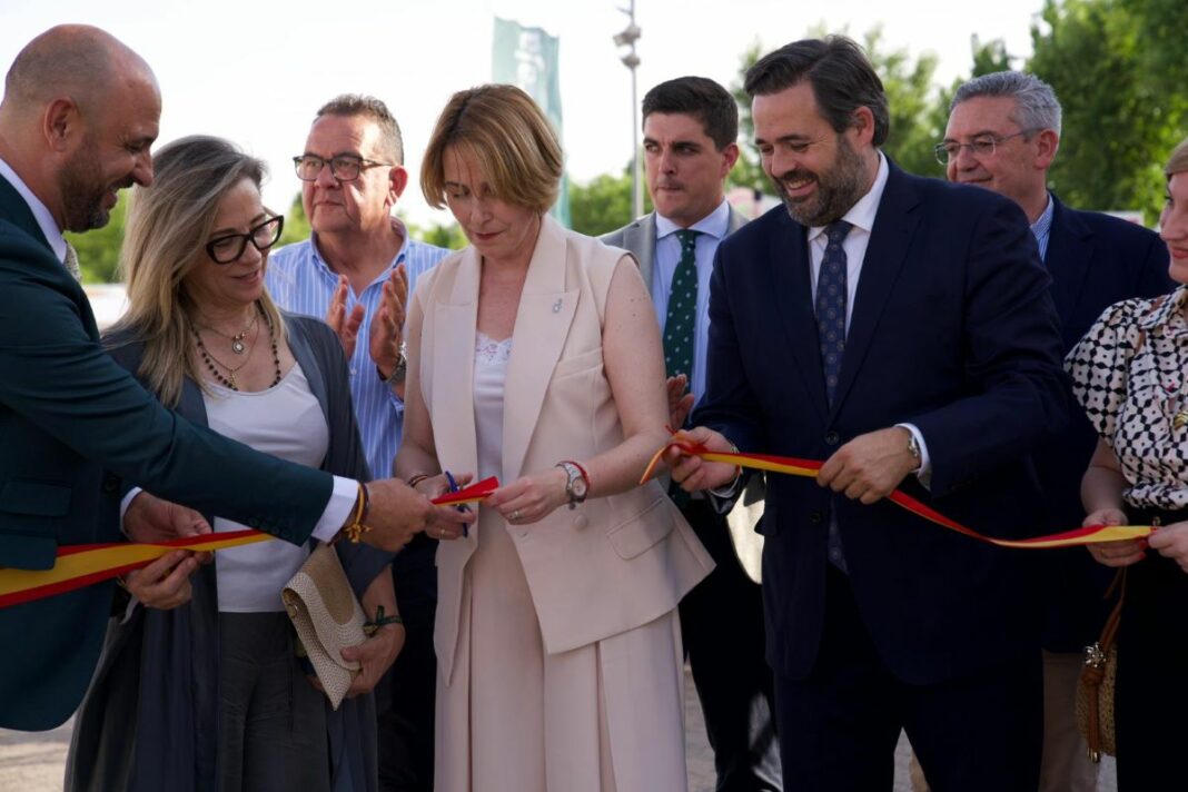 NÚÑEZ 2026-06-11 (2)