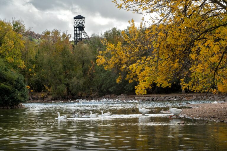El Ayuntamiento de Puertollano organiza el I Concurso de Pesca Urbana de Carpa en la laguna de las Pocitas