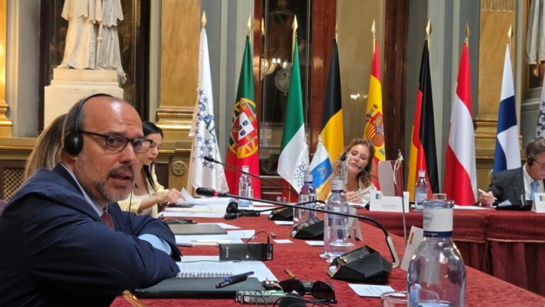 Un primer diagnóstico con los parlamentos europeos apunta a la necesidad de extender la accesibilidad a espacios telemáticos y alternativos a los salones de plenos