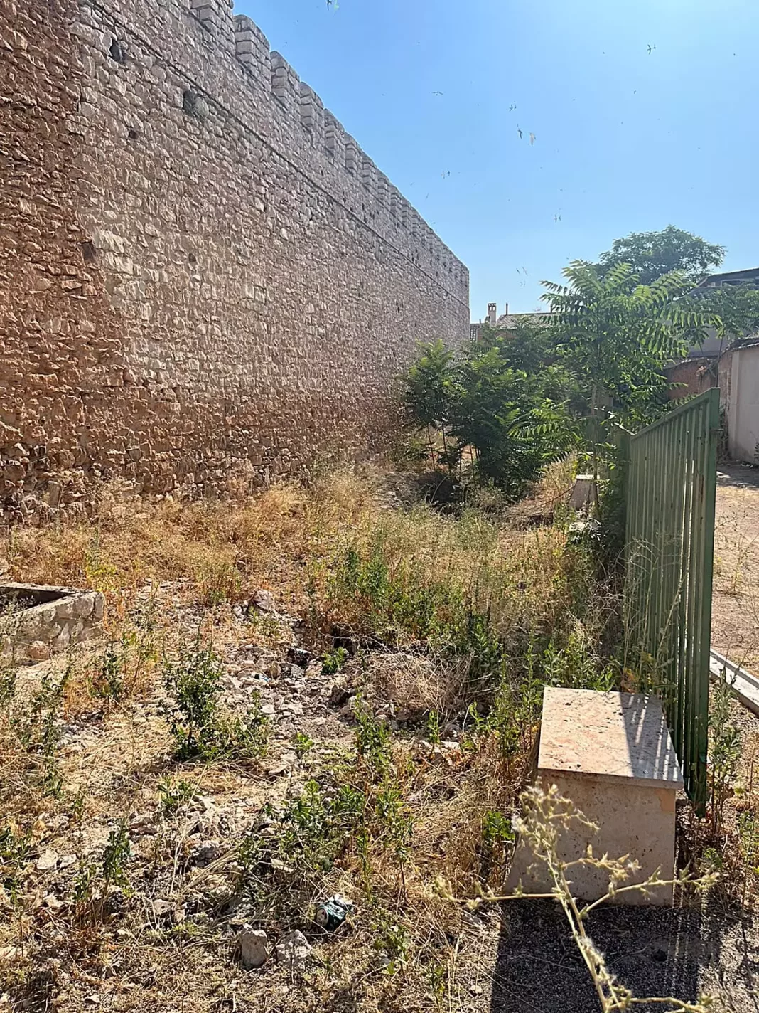 CASTILLO DE BOLAÑOS EN ESTADO DE ABANDONO