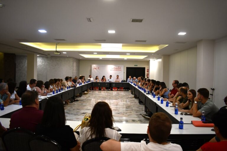 El PSOE provincial de Ciudad Real engrasa su maquinaria ante el decisivo año electoral