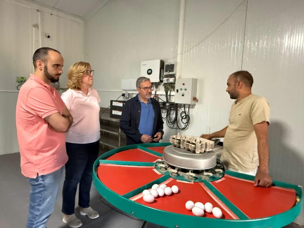 JOSÉ JUAN FERNÁNDEZ_VISITA EXPLOTACIÓN AVÍCOLA 2