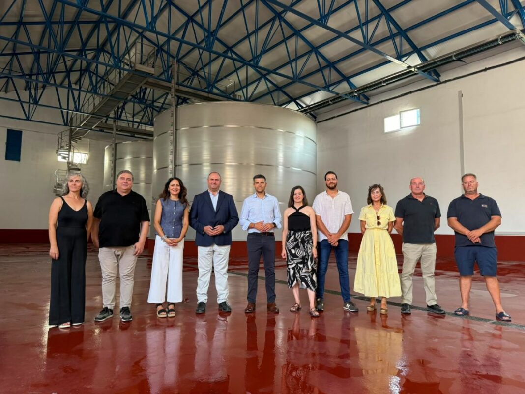MARTÍNEZ LIZÁN_BODEGAS SÍMBOLO 1