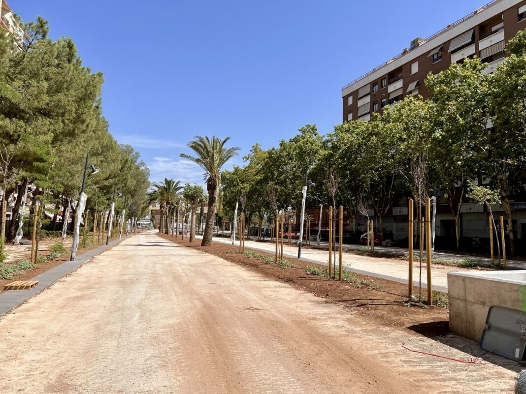 bosque5