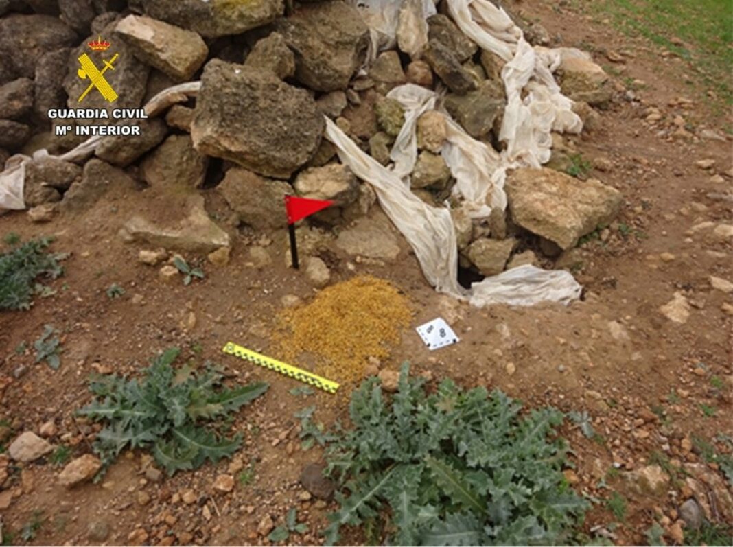 Sucesos.- Tres investigados por usar veneno en el medio natura en Tomelloso Socuéllamos y Alcázar y envenenar un hurón