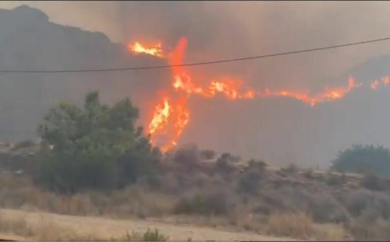 Once muertos y ocho heridos, cuatro graves, en el incendio forestal de Los Gallardos (Almería)
