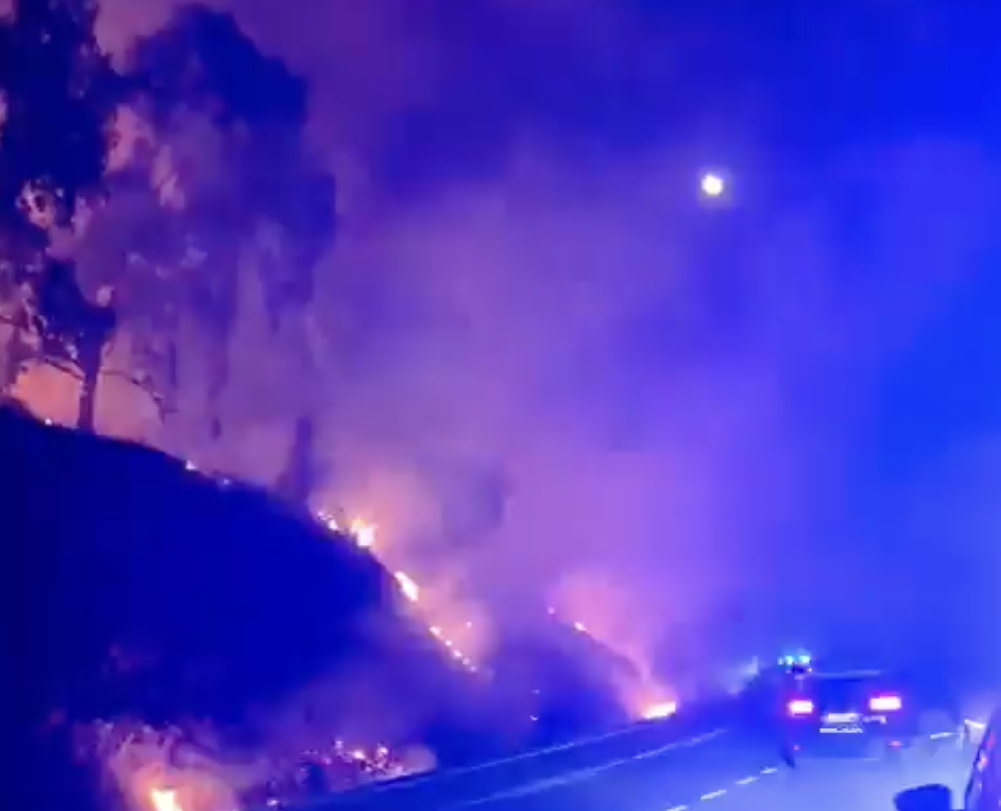 Captura de pantalla 2026-08-31 a las 0.35.54