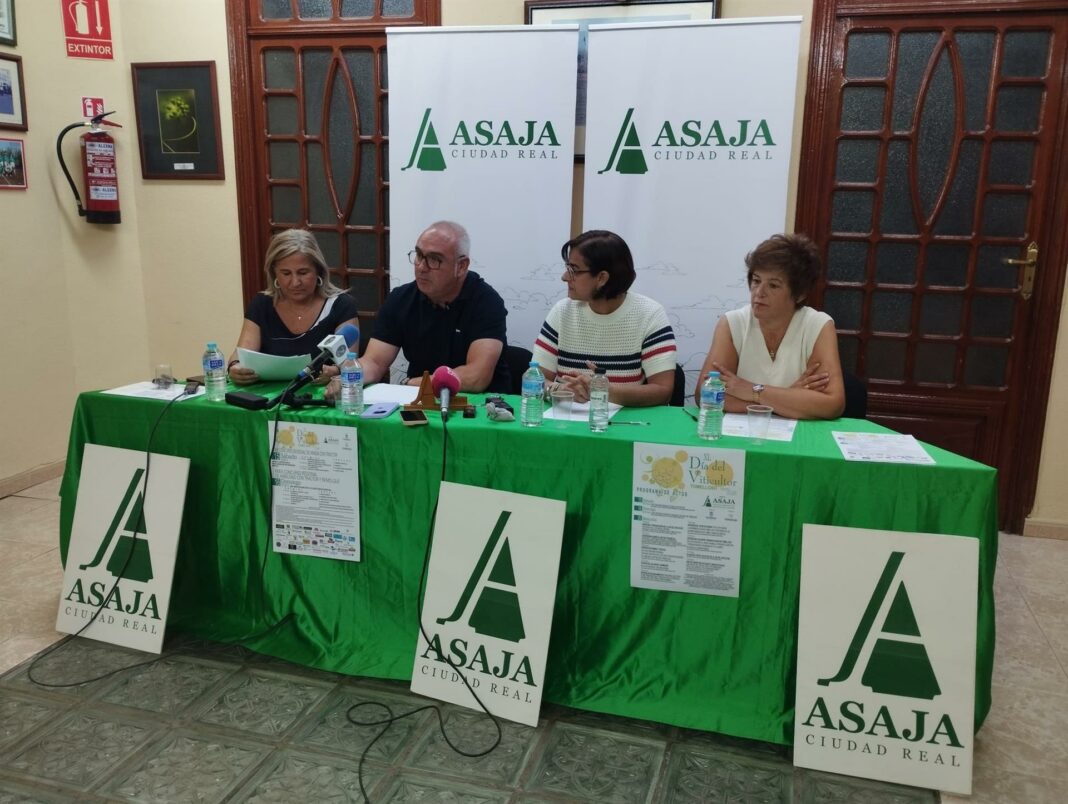 fotonoticia_20260813120419_1920