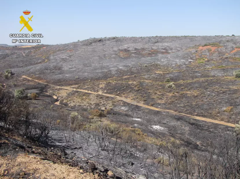 incendio cabezarrubias del puerto 2