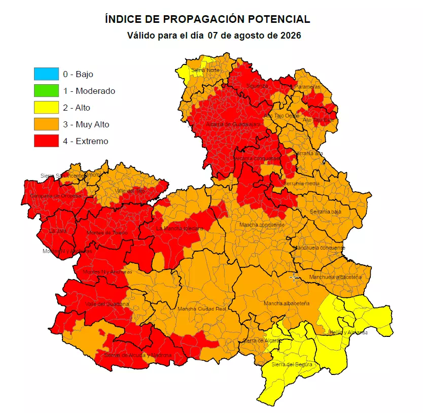 ipp-7-agosto