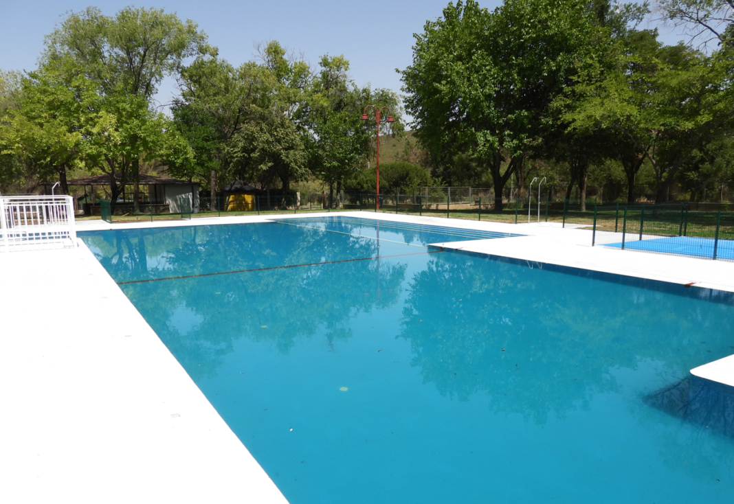 pisci1