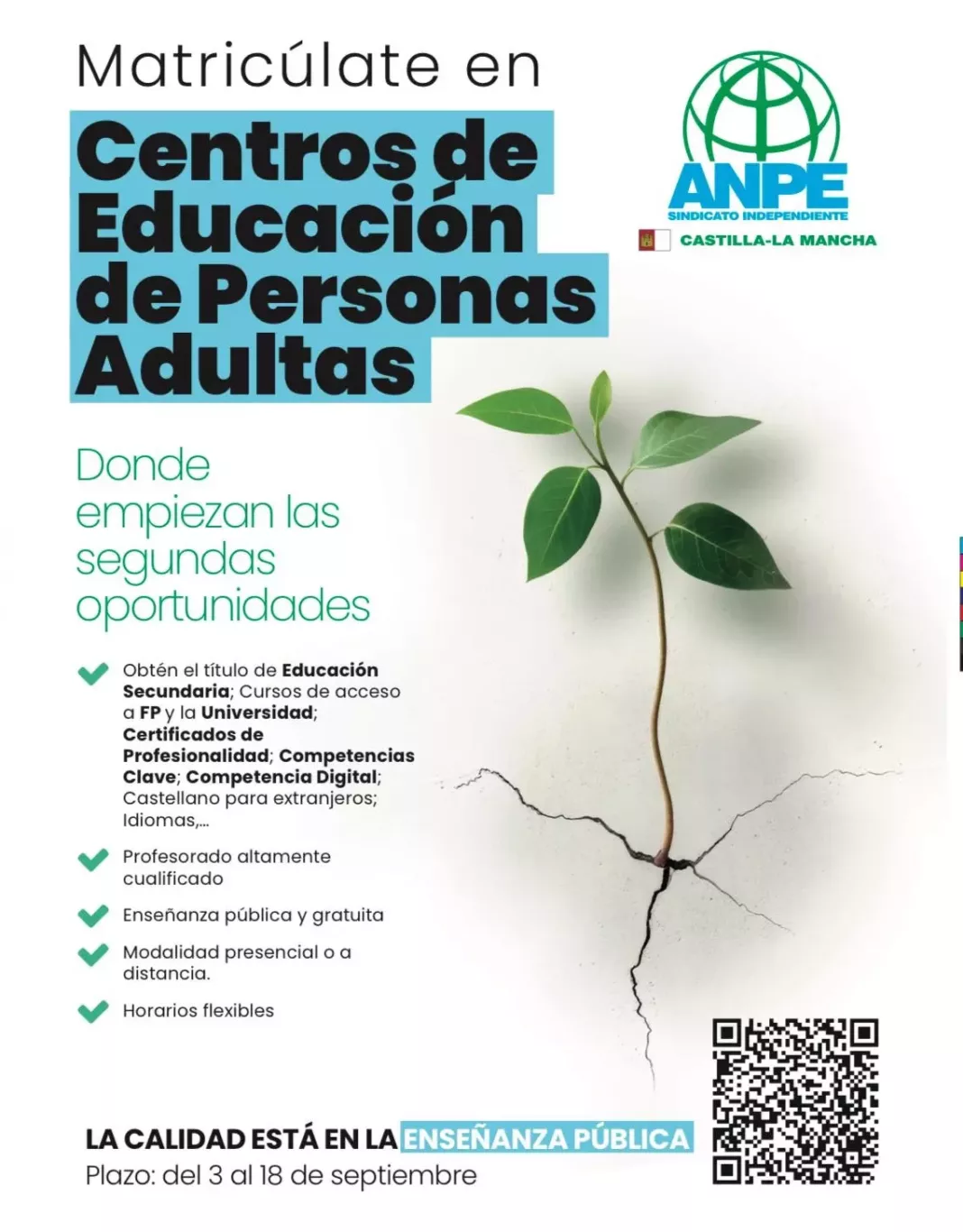 CARTEL CENTROS EDUCACIÓN PERSONAS ADULTAS