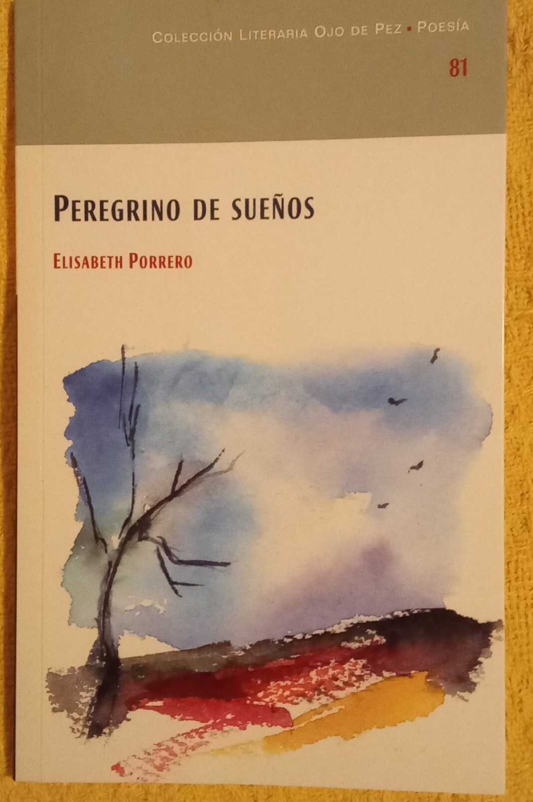 Cubierta del poemario Peregrino de suelos. Elisabeth Porrero