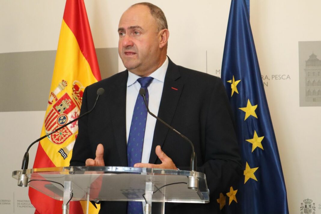 MARTÍNEZ LIZÁN 7