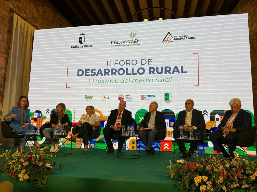 MARTÍNEZ LIZÁN_FORO DESARROLLO RURAL 1