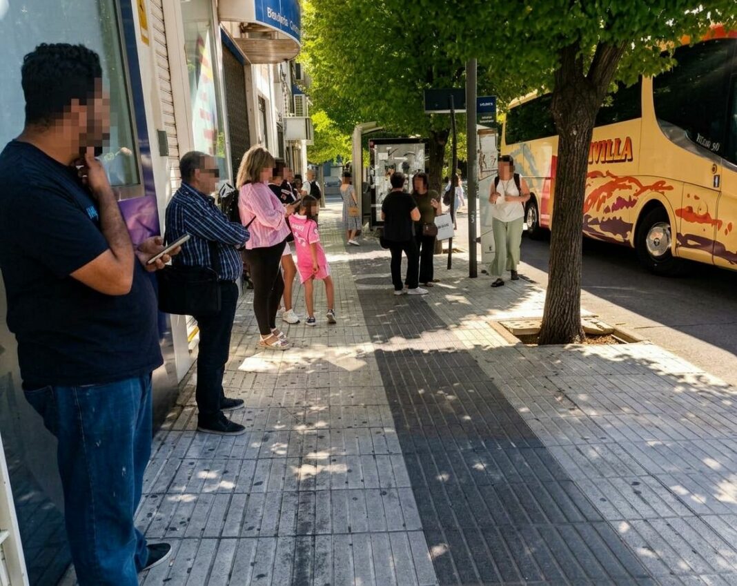 bus